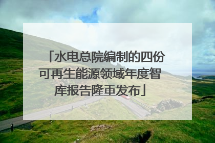 水电总院编制的四份可再生能源领域年度智库报告隆重发布