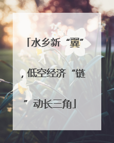 水乡新“翼”，低空经济“链”动长三角