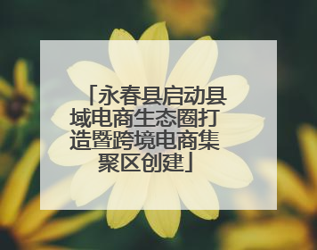 永春县启动县域电商生态圈打造暨跨境电商集聚区创建