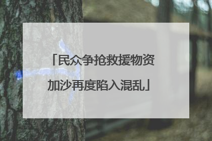民众争抢救援物资 加沙再度陷入混乱
