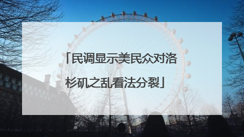 民调显示美民众对洛杉矶之乱看法分裂