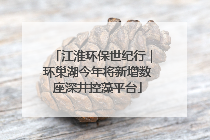 江淮环保世纪行｜环巢湖今年将新增数座深井控藻平台