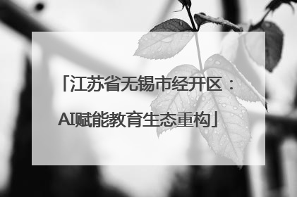 江苏省无锡市经开区：AI赋能教育生态重构