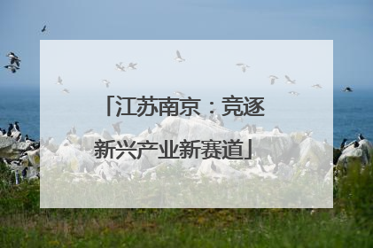 江苏南京：竞逐新兴产业新赛道