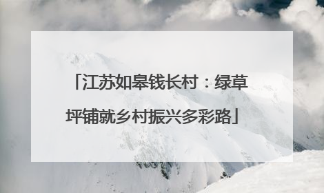 江苏如皋钱长村：绿草坪铺就乡村振兴多彩路