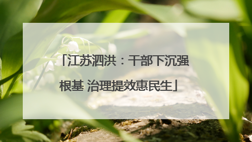 江苏泗洪：干部下沉强根基 治理提效惠民生