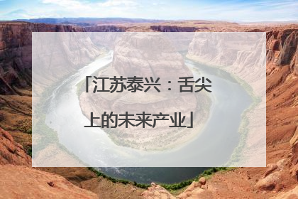 江苏泰兴：舌尖上的未来产业