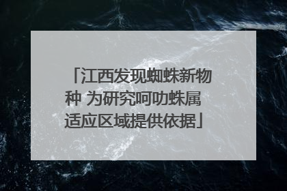 江西发现蜘蛛新物种 为研究呵叻蛛属适应区域提供依据