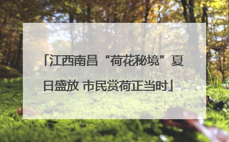 江西南昌“荷花秘境”夏日盛放 市民赏荷正当时