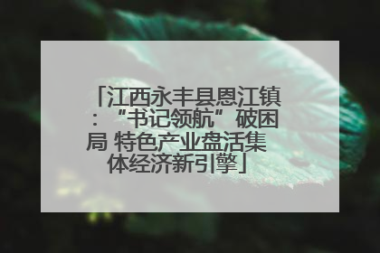 江西永丰县恩江镇：“书记领航”破困局 特色产业盘活集体经济新引擎