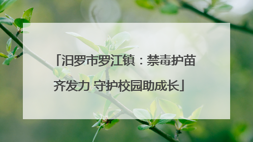汨罗市罗江镇：禁毒护苗齐发力 守护校园助成长