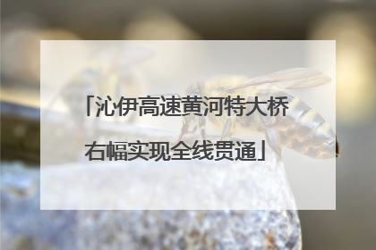 沁伊高速黄河特大桥右幅实现全线贯通