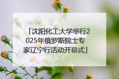 沈阳化工大学举行2025年俄罗斯院士专家辽宁行活动开幕式