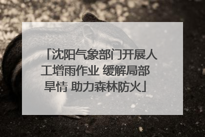 沈阳气象部门开展人工增雨作业 缓解局部旱情 助力森林防火