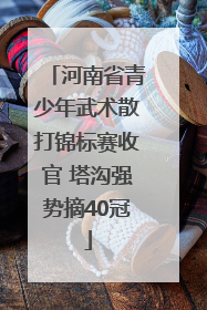 河南省青少年武术散打锦标赛收官 塔沟强势摘40冠