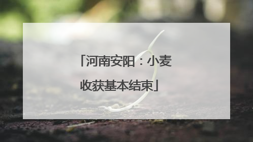 河南安阳：小麦收获基本结束
