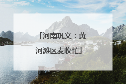 河南巩义：黄河滩区麦收忙