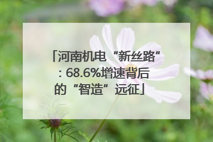 河南机电“新丝路”：68.6%增速背后的“智造”远征
