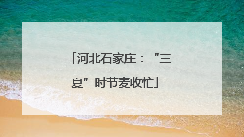 河北石家庄：“三夏”时节麦收忙