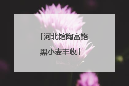 河北馆陶富铬黑小麦丰收
