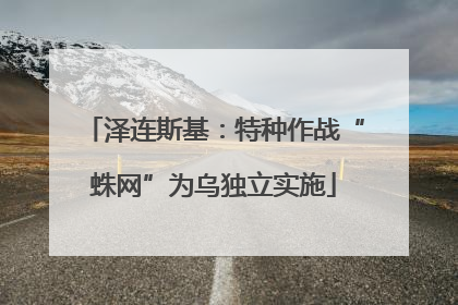 泽连斯基：特种作战“蛛网”为乌独立实施