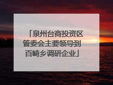 泉州台商投资区管委会主要领导到百崎乡调研企业