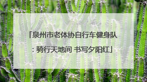 泉州市老体协自行车健身队：骑行天地间 书写夕阳红