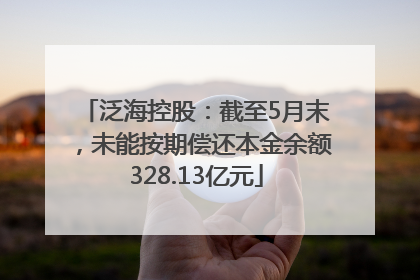 泛海控股：截至5月末，未能按期偿还本金余额328.13亿元