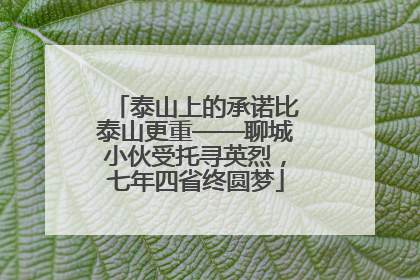 泰山上的承诺比泰山更重——聊城小伙受托寻英烈，七年四省终圆梦