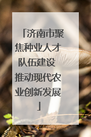 济南市聚焦种业人才队伍建设 推动现代农业创新发展