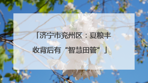 济宁市兖州区：夏粮丰收背后有“智慧田管”