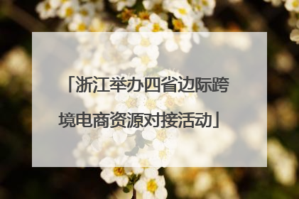 浙江举办四省边际跨境电商资源对接活动