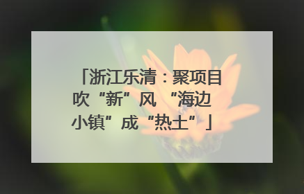 浙江乐清：聚项目吹“新”风 “海边小镇”成“热土”