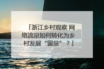 浙江乡村观察 网络流量如何转化为乡村发展“留量”？