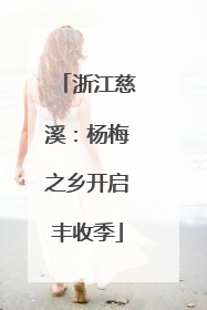 浙江慈溪:杨梅之乡开启丰收季