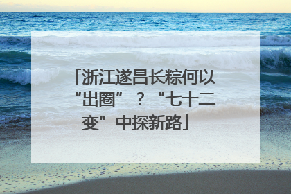 浙江遂昌长粽何以“出圈”？“七十二变”中探新路