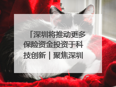 深圳将推动更多保险资金投资于科技创新｜聚焦深圳系列发布会