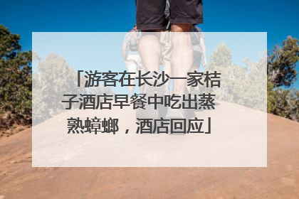 游客在长沙一家桔子酒店早餐中吃出蒸熟蟑螂，酒店回应