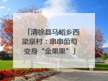 清徐县马峪乡西梁泉村：串串葡萄变身“金果果”