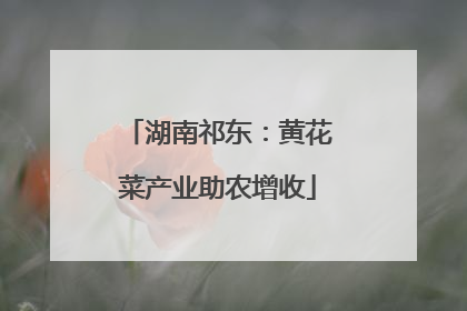 湖南祁东：黄花菜产业助农增收