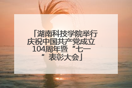 湖南科技学院举行庆祝中国共产党成立104周年暨“七一”表彰大会
