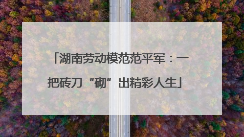 湖南劳动模范范平军：一把砖刀“砌”出精彩人生