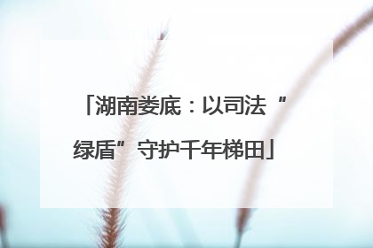 湖南娄底：以司法“绿盾”守护千年梯田