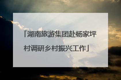 湖南旅游集团赴杨家坪村调研乡村振兴工作