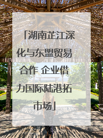 湖南芷江深化与东盟贸易合作 企业借力国际陆港拓市场