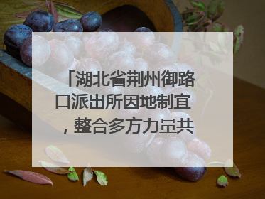 湖北省荆州御路口派出所因地制宜，整合多方力量共建平安校园