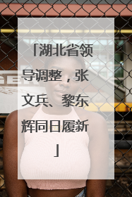 湖北省领导调整，张文兵、黎东辉同日履新