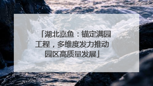 湖北嘉鱼：锚定满园工程，多维度发力推动园区高质量发展