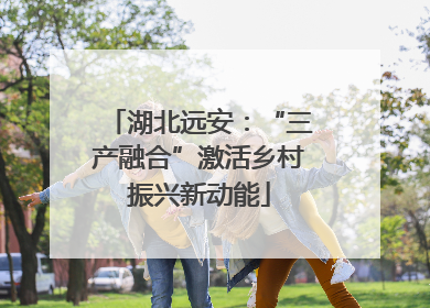 湖北远安：“三产融合”激活乡村振兴新动能