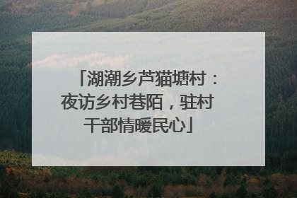 湖潮乡芦猫塘村：夜访乡村巷陌，驻村干部情暖民心